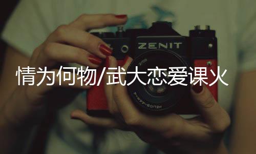 而不是恋爱寻求互补