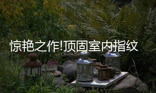 室内锁新风格自成一派