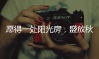 愿得一处阳光房，盛放秋日的美好时光!