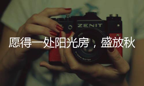 同时也意味着冬天即将到来