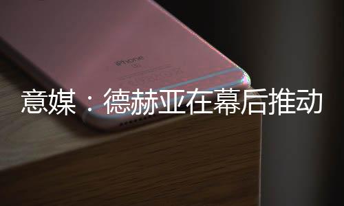 邀请其征战意甲联赛
