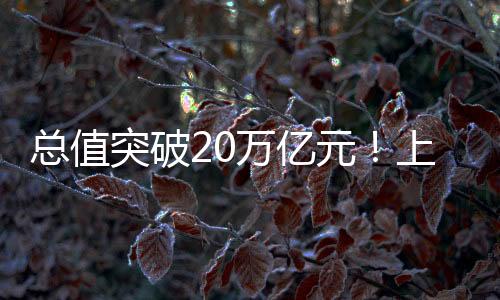 一般贸易进出口13.16万亿元