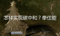 怎样实现碳中和？牵住能源牛鼻子