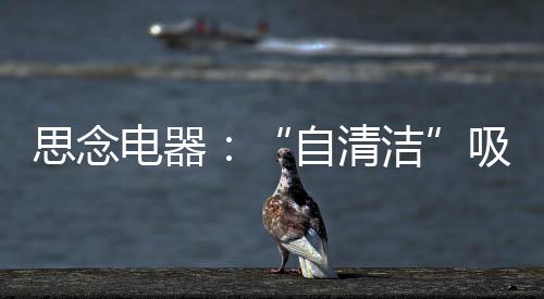 通过光波化油、自清洁过去