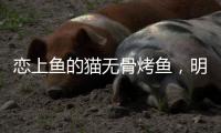 快排公司十年历程，霸屏兔 seo 的崛起与坚守