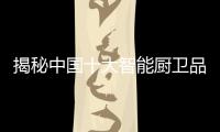 快排公司十年历程，霸屏兔 seo 的崛起与坚守