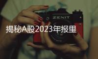 揭秘A股2023年报里的女性董监高们