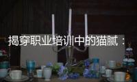 揭穿职业培训中的猫腻：靠训吃训肆意敛财