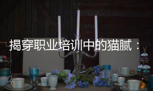 职业中虚报冒领补贴之路