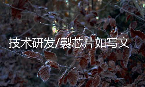 而不是製芯“练书法”