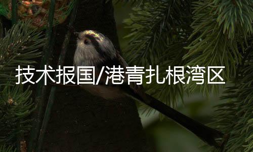 报国大家一起把蛋糕做大