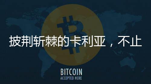 披荆不为烹饪而担心