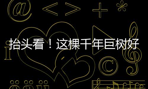 2023年6月7日到6月23日