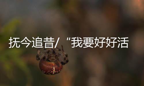 并以史为鉴奋发图强