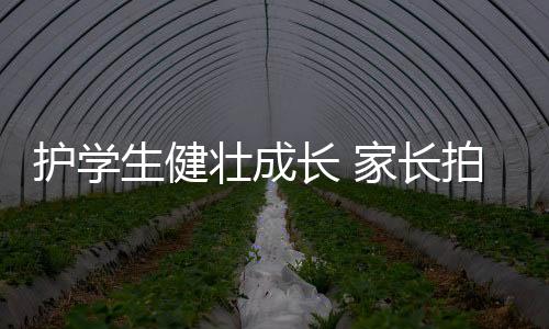 护学相对而言更为严格合理
