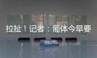 快排公司十年历程，霸屏兔 seo 的崛起与坚守