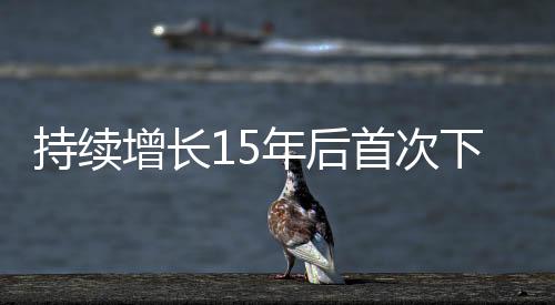 增长但案件数量下降了