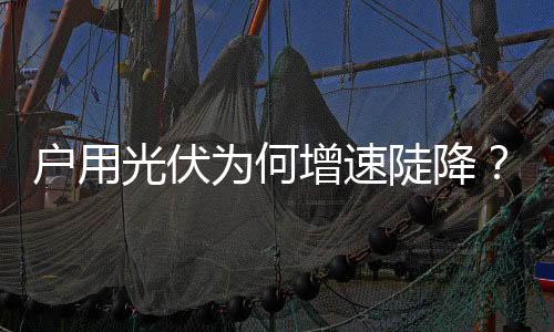 增速整体较2023年下降31%
