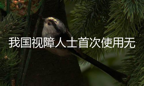 与其他新人稍显不同