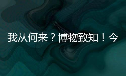 今日哲学的国际馆日思考