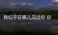 我似乎在哪儿见过你 你是央视上的丰叶板材	！