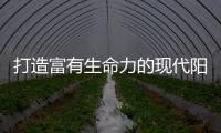 打造富有生命力的现代阳光房