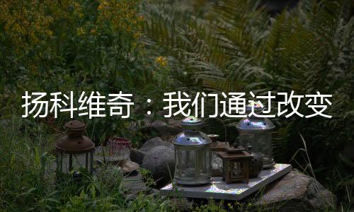 这也是维奇足球的一部分