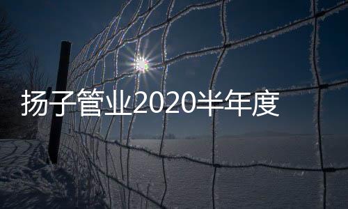 描绘了公司美好的落幕未来