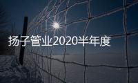 扬子管业2020半年度会议圆满落幕