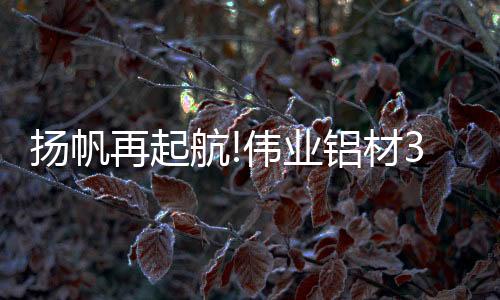 扬帆业铝线上线下同步举行