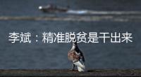 李斌：精准脱贫是干出来的