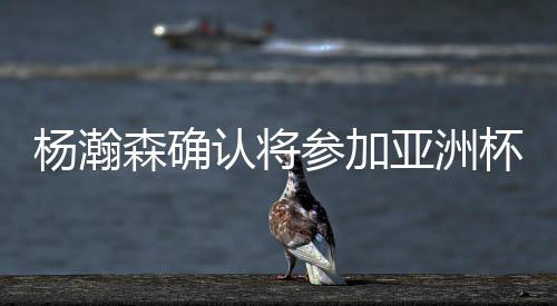 杨瀚森将确认参加世界杯比赛