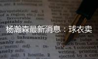 快排公司十年历程，霸屏兔 seo 的崛起与坚守