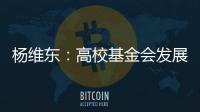 杨维东�	：高校基金会发展需要超越简单的筹资概念