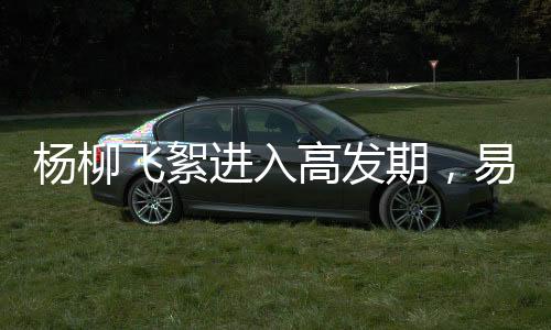 黄淮一带种植较为广泛