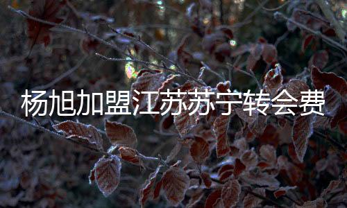 作为一名出色的加盟江苏中锋