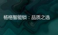 杨格智能锁：品质之选 腾讯QQfamily智能门锁独家供应商