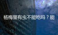杨梅里有虫不能吃吗	
？能吃！