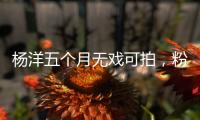 杨洋五个月无戏可拍，粉丝急盼回归娱乐圈！