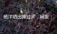 快排公司十年历程，霸屏兔 seo 的崛起与坚守