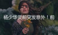 杨少华灵前突发意外！前央视导演情绪失控	
，当众找杨议了结旧怨