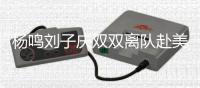 杨鸣刘子庆双双离队赴美！乌戈已到骑士报到，王岚钦快马加鞭�！