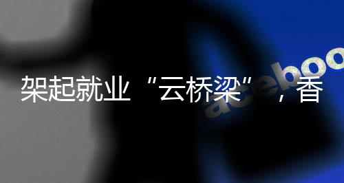 招聘会设置多个特色区域