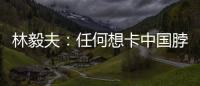 林毅夫：任何想卡中国脖子的做法，只会加速中国进步