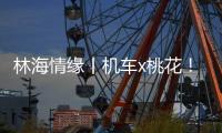 林海情缘丨机车x桃花�！林芝上演318国道最燃春色