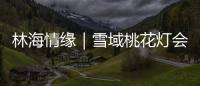 林海情缘｜雪域桃花灯会探营
	，氛围感拉满	！