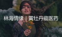 林海情缘｜黄牡丹藏医药文化旅游节开幕
！“地球上最高的绿色秘境”焕新开放