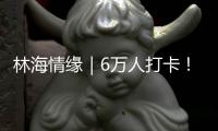 林海情缘｜6万人打卡
！米林桃花旅游文化活动“火”了