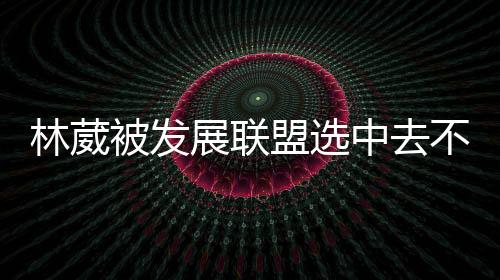 仍存反正从今年的决策来看