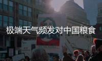 极端天气频发对中国粮食生产有何影响？
